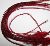 ���� Dry Fly (��� ����� ���) 10 �� ������ ������� , ������ � 18